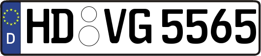 HD-VG5565