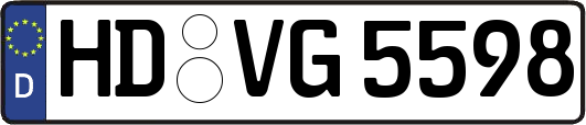 HD-VG5598