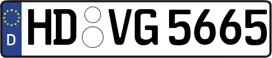 HD-VG5665