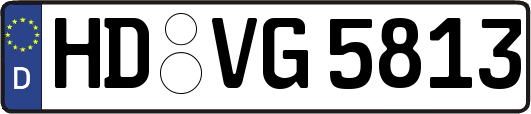 HD-VG5813