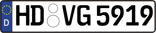 HD-VG5919