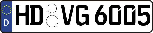 HD-VG6005