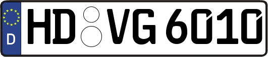 HD-VG6010