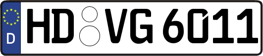 HD-VG6011