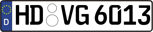 HD-VG6013