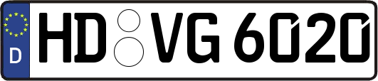 HD-VG6020