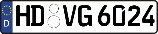 HD-VG6024