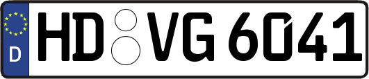 HD-VG6041