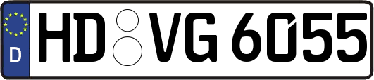 HD-VG6055
