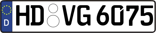 HD-VG6075