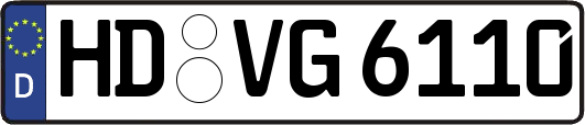 HD-VG6110