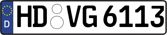 HD-VG6113