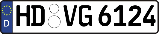 HD-VG6124