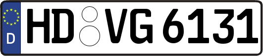 HD-VG6131