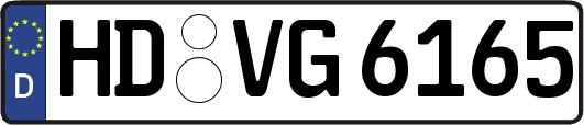 HD-VG6165