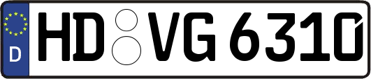 HD-VG6310
