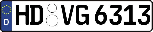 HD-VG6313