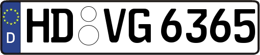 HD-VG6365