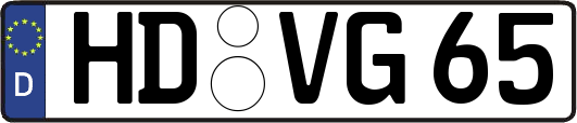 HD-VG65