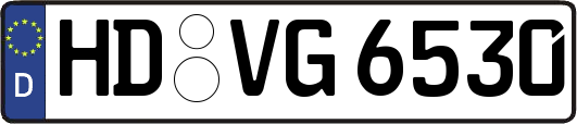 HD-VG6530
