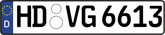HD-VG6613