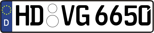HD-VG6650