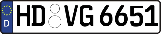 HD-VG6651