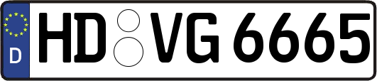 HD-VG6665