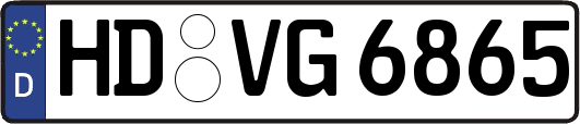 HD-VG6865