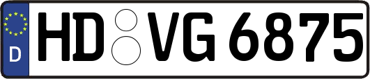 HD-VG6875