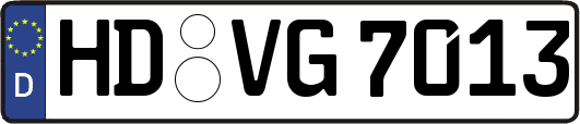 HD-VG7013