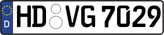 HD-VG7029