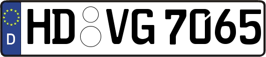 HD-VG7065