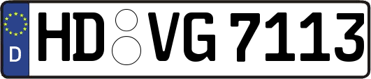 HD-VG7113