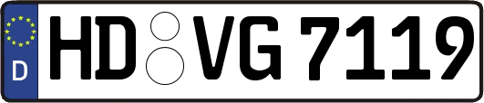 HD-VG7119