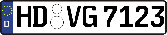 HD-VG7123