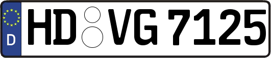HD-VG7125