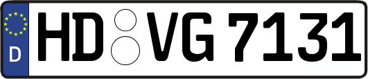 HD-VG7131