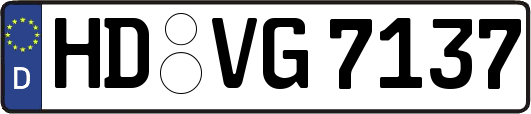 HD-VG7137
