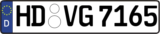 HD-VG7165