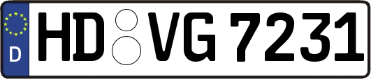 HD-VG7231