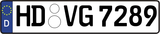 HD-VG7289