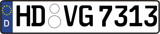 HD-VG7313