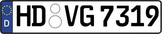 HD-VG7319