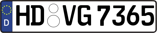 HD-VG7365