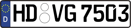 HD-VG7503