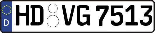 HD-VG7513