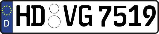 HD-VG7519