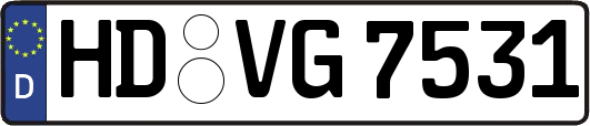 HD-VG7531