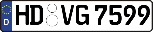 HD-VG7599